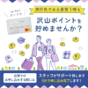 【LINE】旅行先でのお買い物もauPAYカードでおトク - 画像 (2)